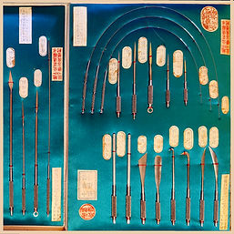 Nine Needles of the Ling Shu: The Essence of Acupuncture