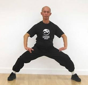 Sifu Gregory Fong practicing Yi Quan